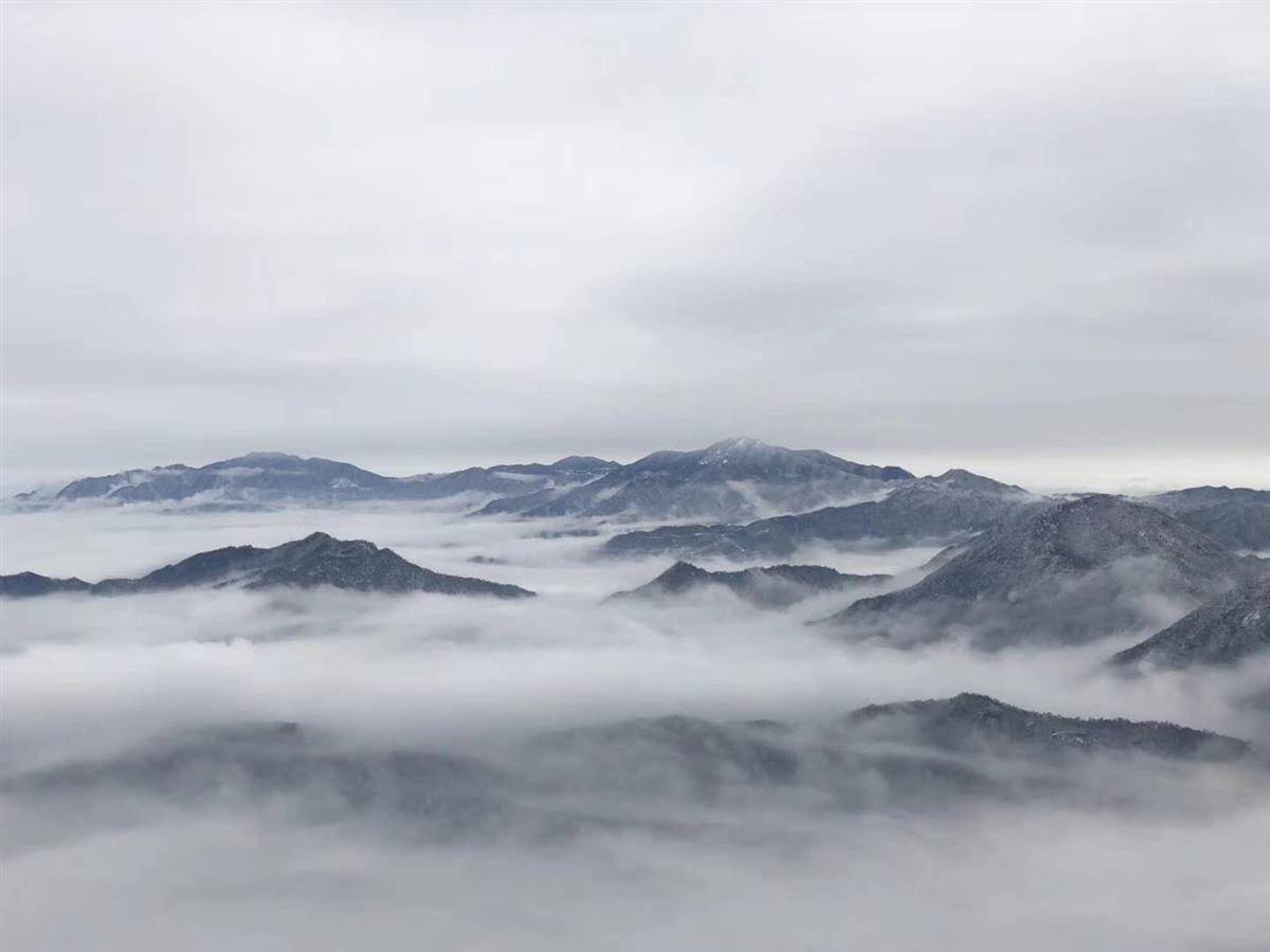 成昱勋|湖北九宫山迎来今冬第一场雪