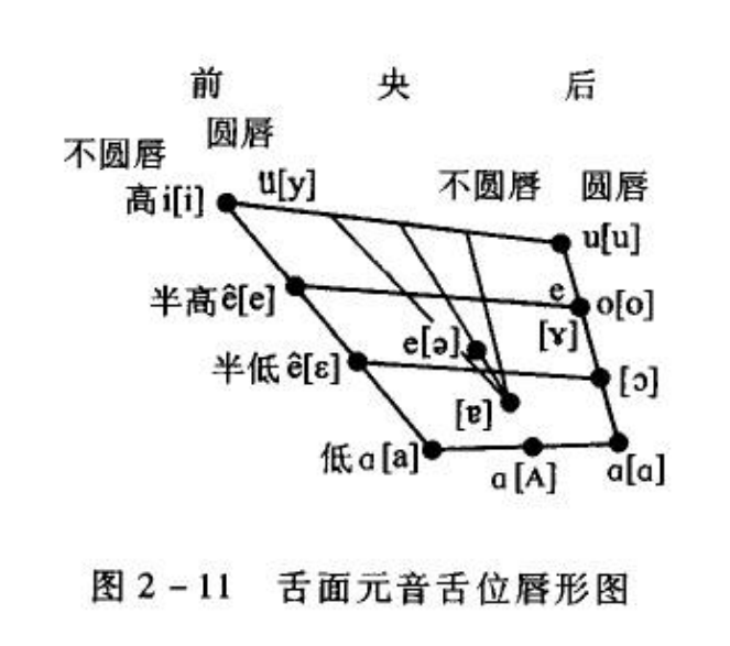 而在黄廖版《现代汉语》中,单元音韵母o的发音更加具体地以舌位图的