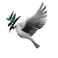 39aaa11d583949eb9e1b94d93706a9a1.gif