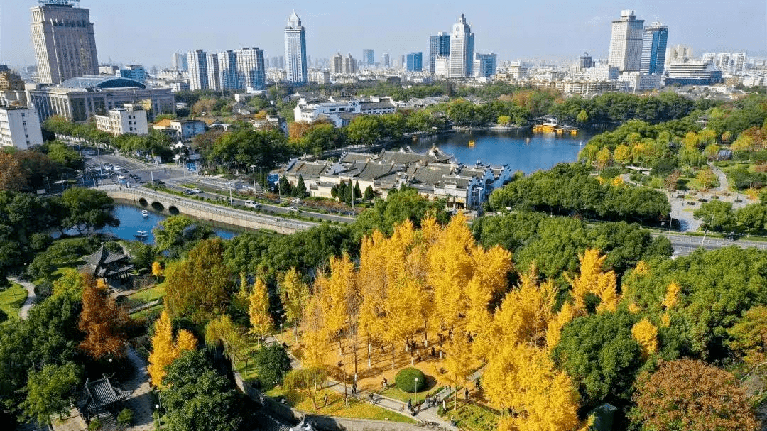 罗城宁波图片