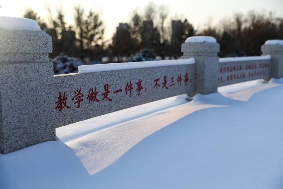 冬日|【雪落象牙塔】哈师大：冰天雪地换新颜