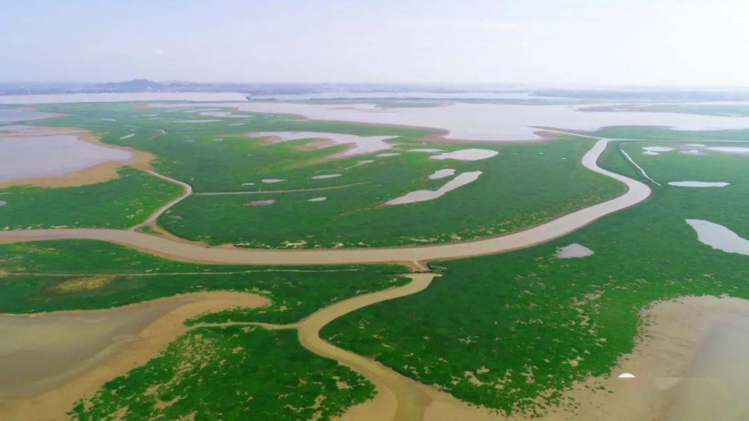 枯水期的鄱阳湖湿地别样美