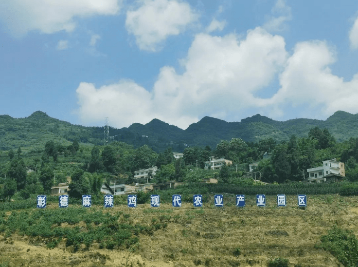 庆祝建党百年今日小桃源陈贵群