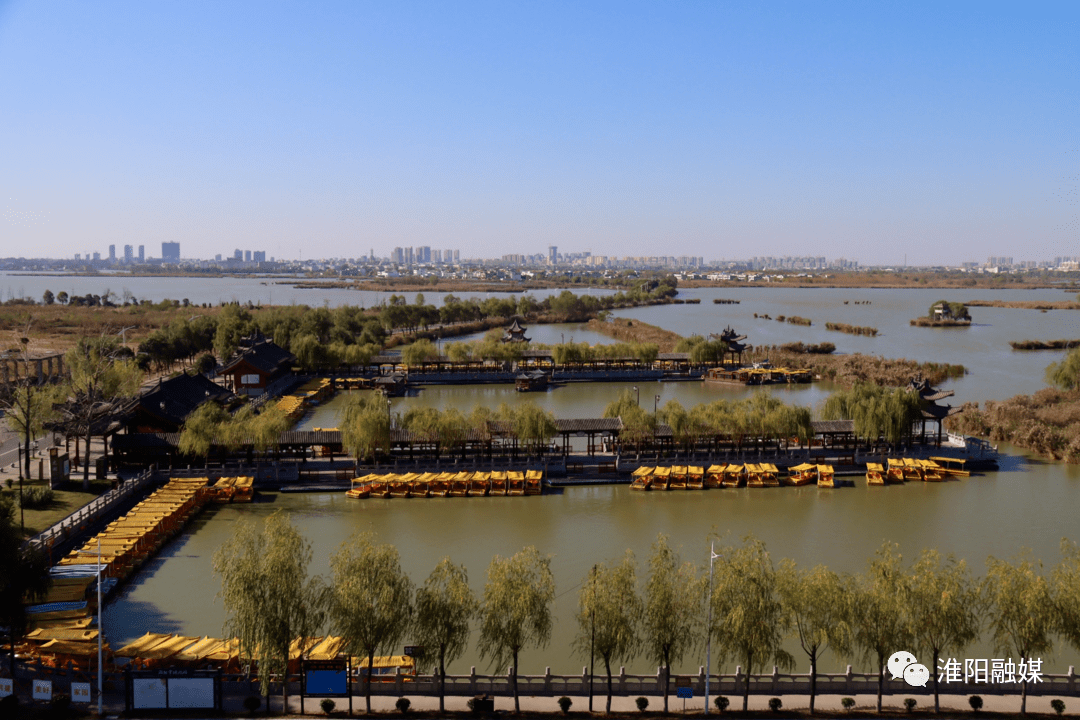 淮阳区‖ 寒风摇枝留疏影 初冬残荷水墨韵