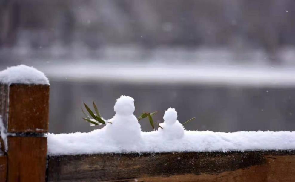 冬日|【雪落象牙塔】哈师大：冰天雪地换新颜