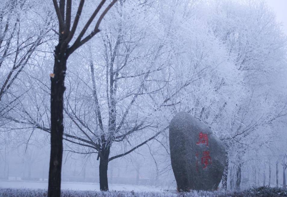 【雪落象牙塔】哈师大:冰天雪地换新颜