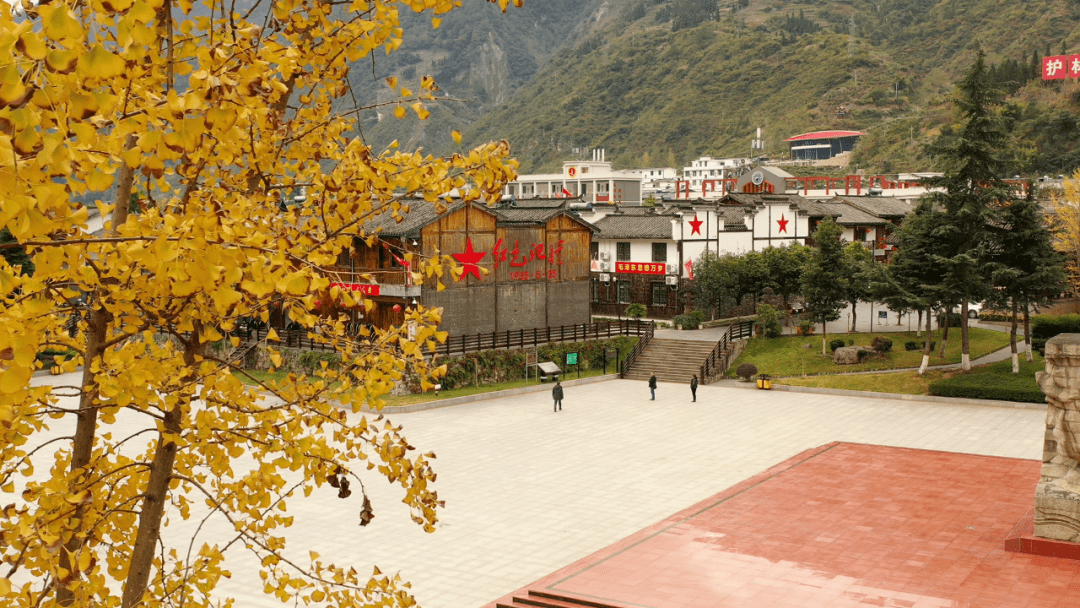 把原本古香古色的古镇装扮得更具诗意安顺场镇古镇里的银杏树正值金黄