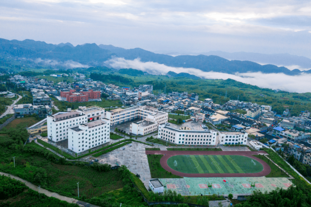 县人大代表杨世宇:立足本职守初心 履职为民展风采_发展_高坪镇_乡村