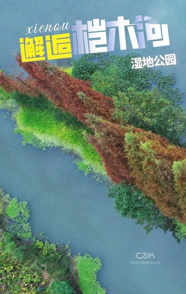 桤木河湿地公园地图图片