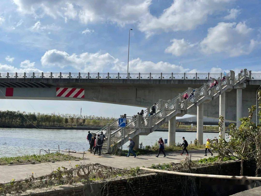 分享贴徒步最美塘下公路大治河到芦潮港