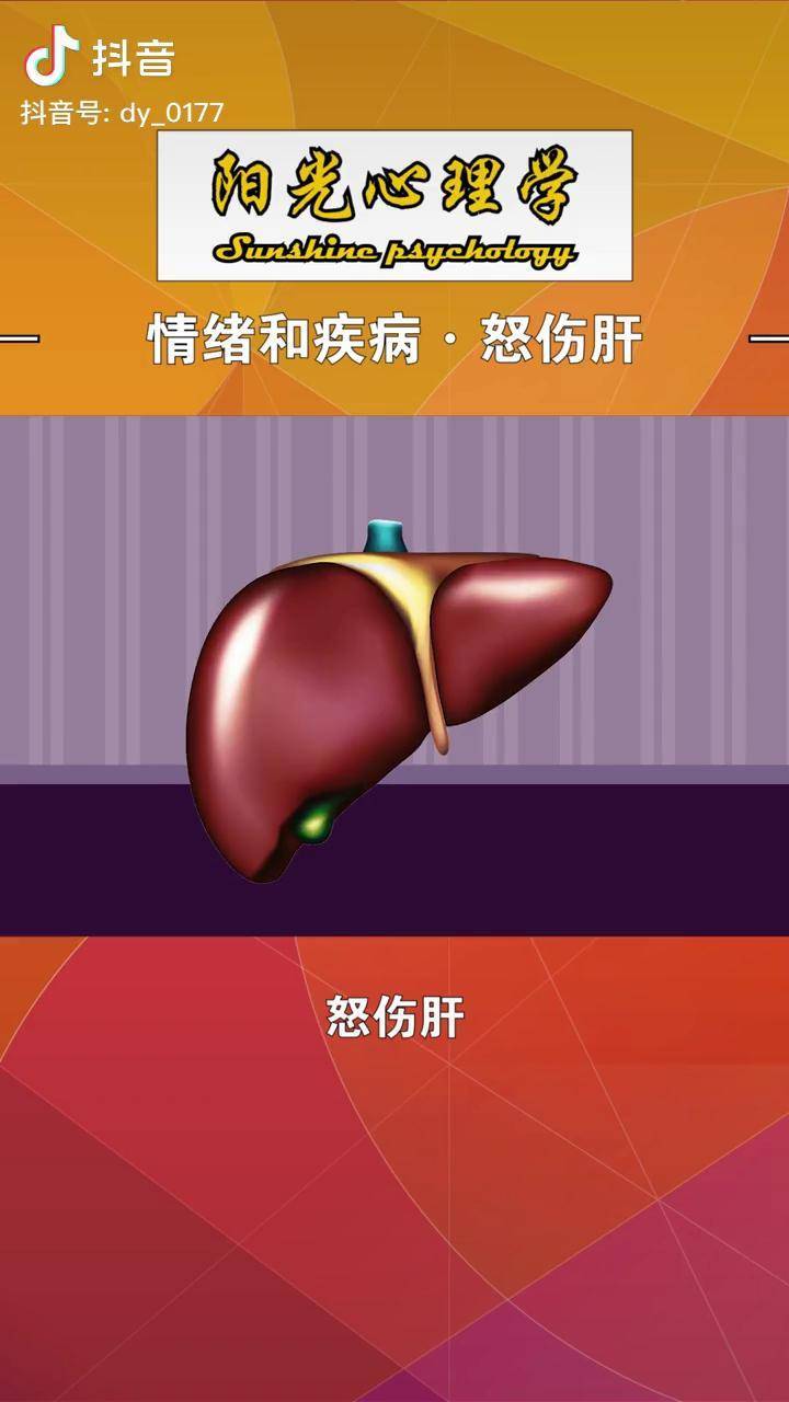 怒伤肝如果有大怒的情绪刺激就会使肝脏受损心理学养生情绪疾病好书
