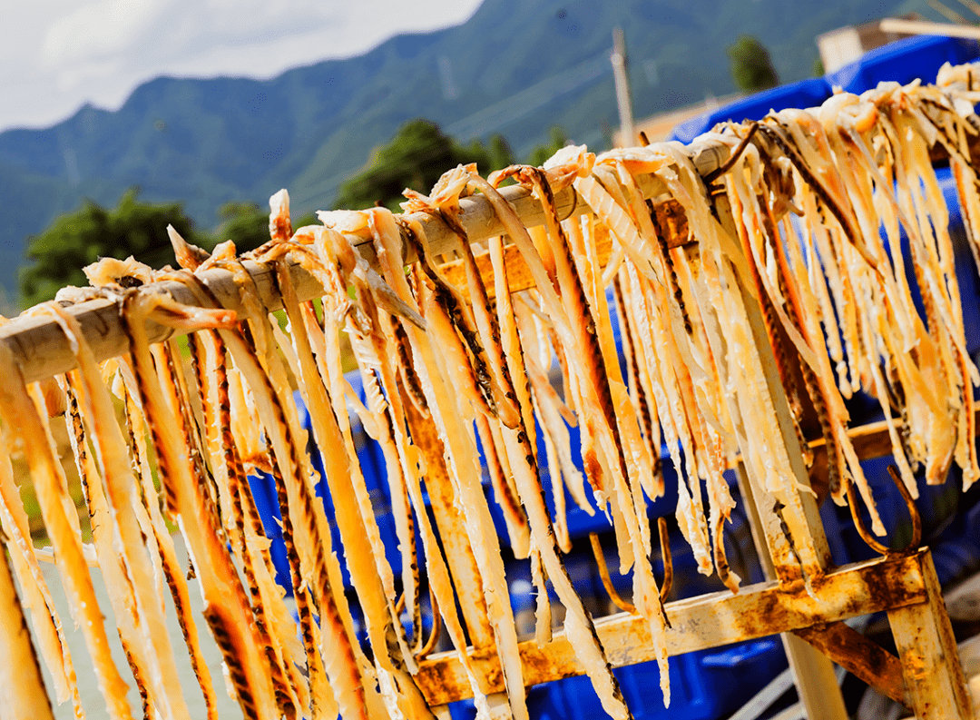 真鲜肇庆人都爱吃的鱼上市了