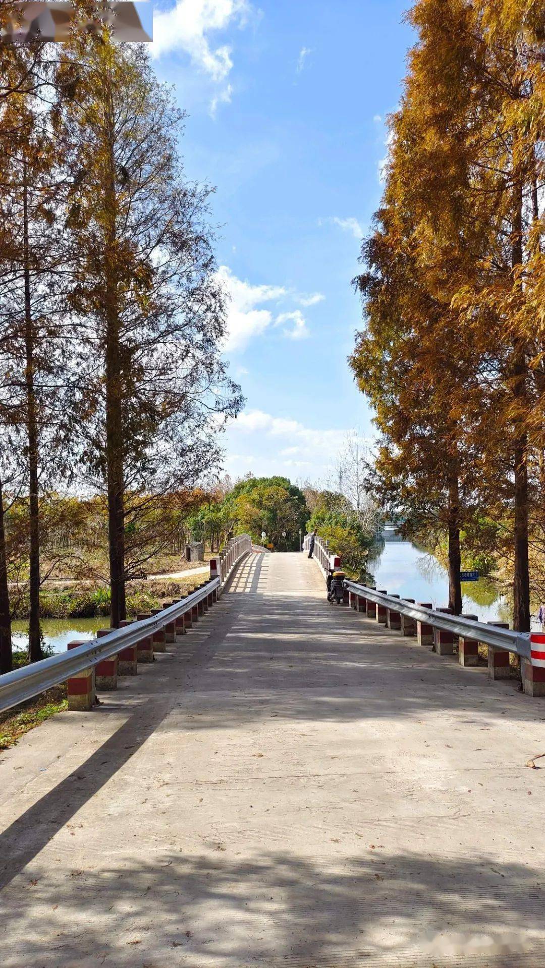 分享贴徒步最美塘下公路大治河到芦潮港