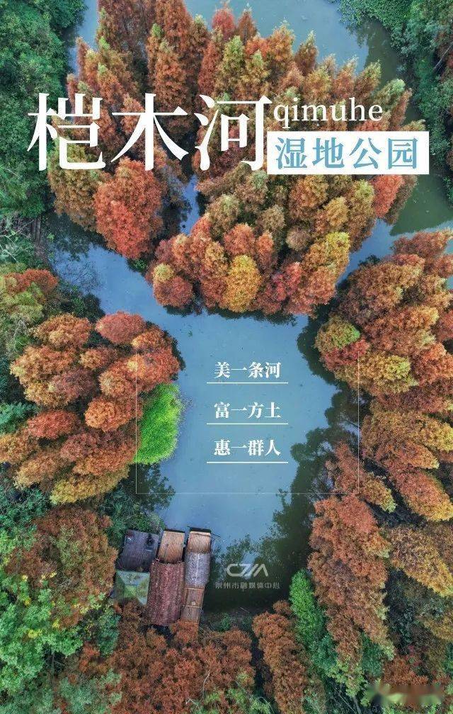 水系|桤木河湿地公园，颜值高的背后有故事