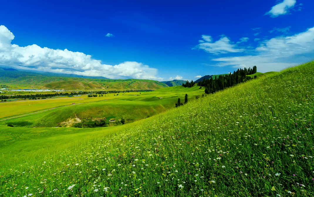 是斑斑驳驳的绿草原上点缀着朵朵小花那拉提是清清浅浅的绿beautiful