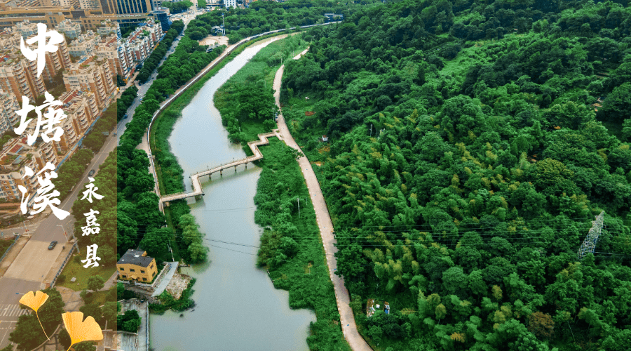 温州美丽河湖靓了,来感受"诗意之美"!