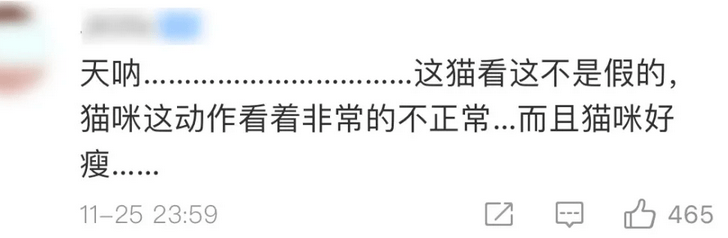 鹦鹉|圈内到底还有没有底线？