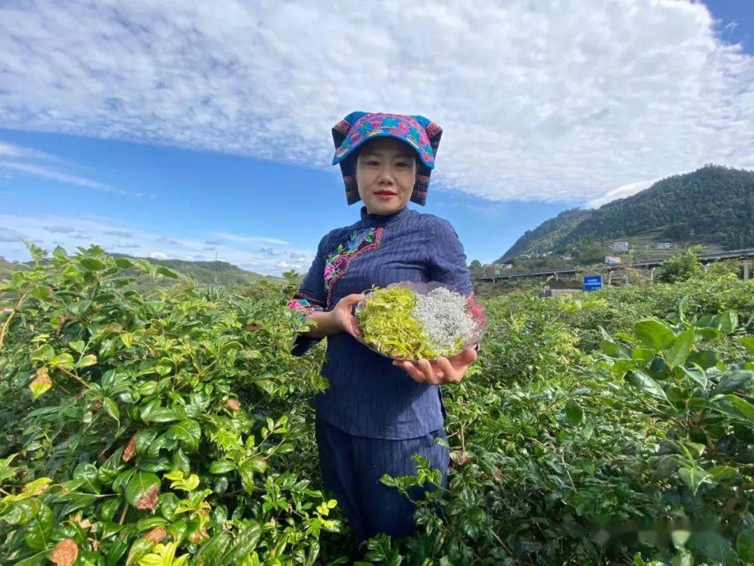 生活|提个醒：早晨起床，第一件事不是排便，也不是喝水，空腹喝它