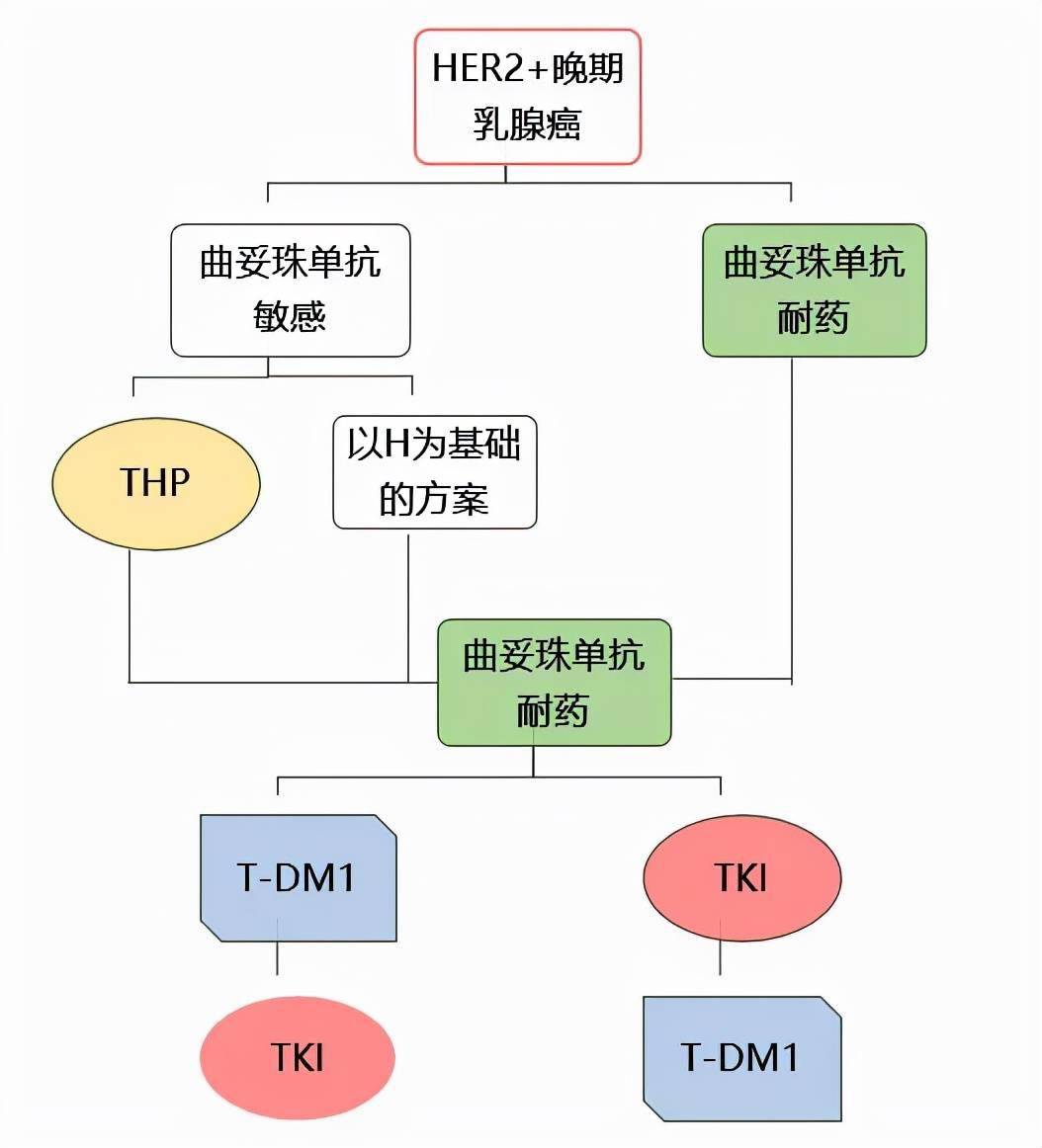 her2 晚期乳腺癌的靶向治疗药物那么多,怎么选?