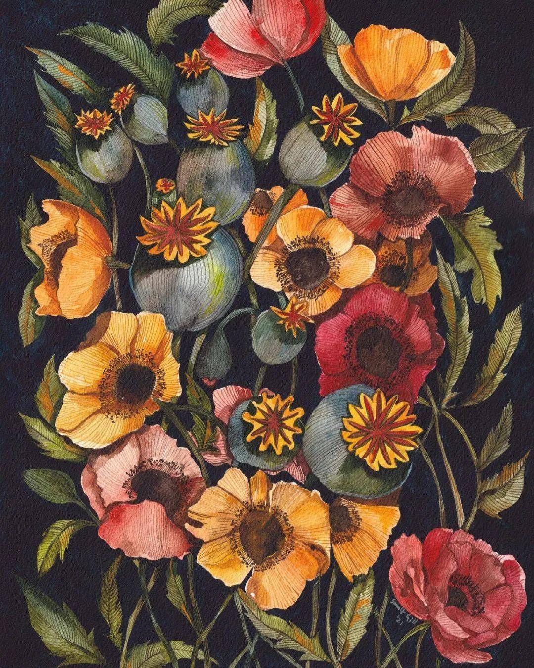 草花植物_黄龙玉草花_新会虫草花