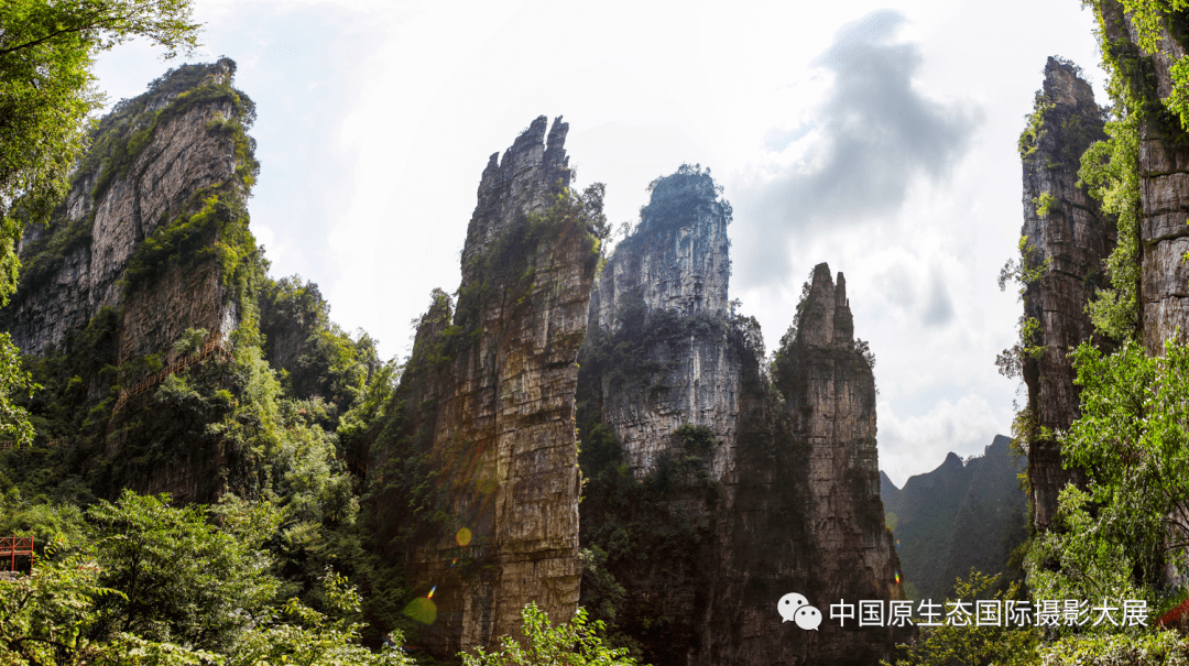 賞美景 | 幽谷峻峽,玉宇仙境——油杉河_貴州省_貴陽市_夢耶