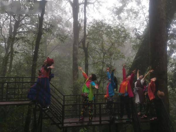 云雾|山在观山色，雨来听雨声