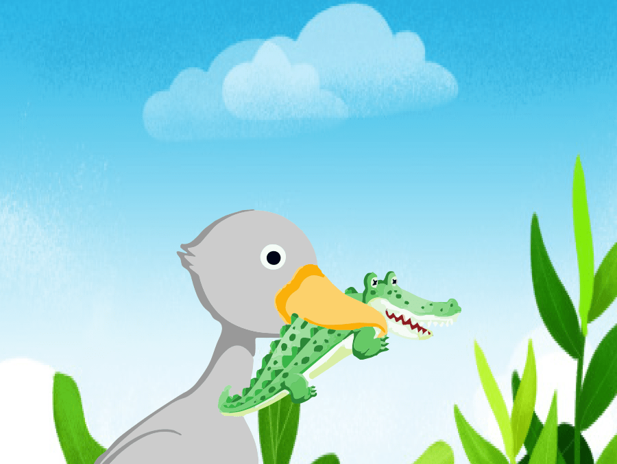 鲸头鹳:会向人类点头鞠躬的大鸟