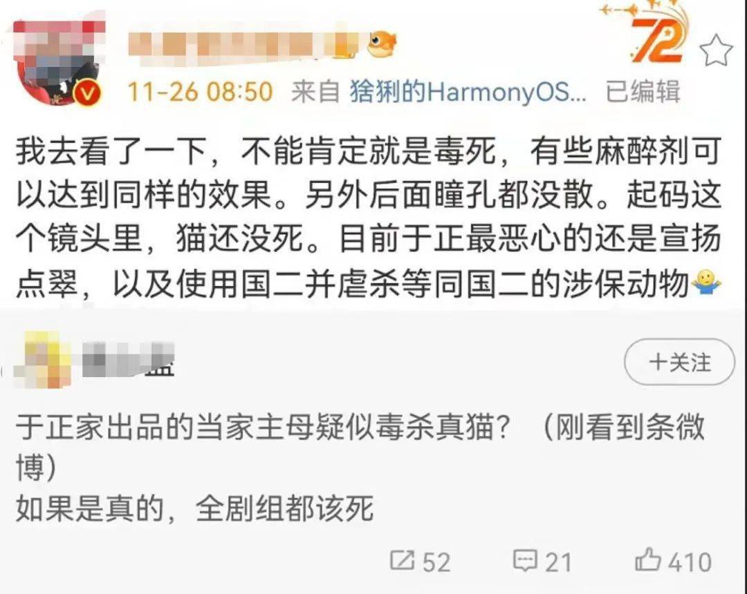 鹦鹉|圈内到底还有没有底线?