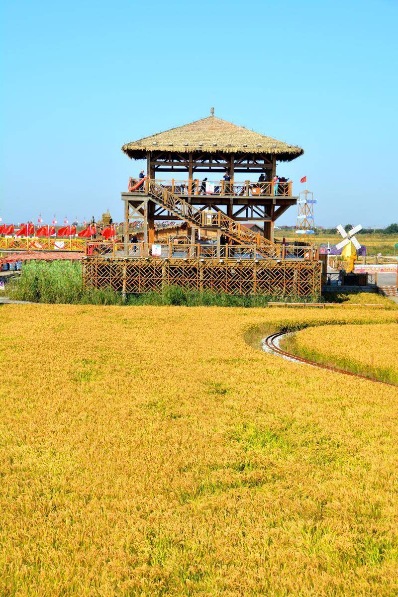 风景|去一个叫：辽宁盘锦的地方