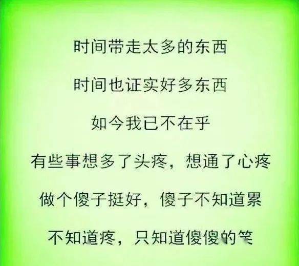做个傻子,不累