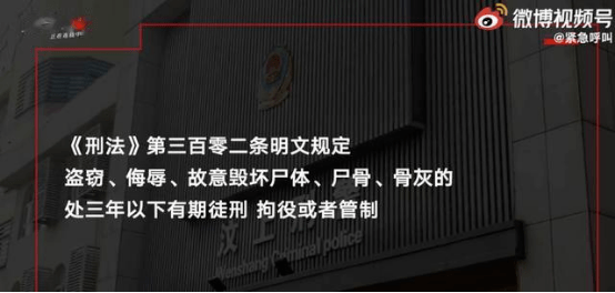 事情|女主播骨灰被偷盗事件：生于湖南，死于网暴，毁于阴婚……