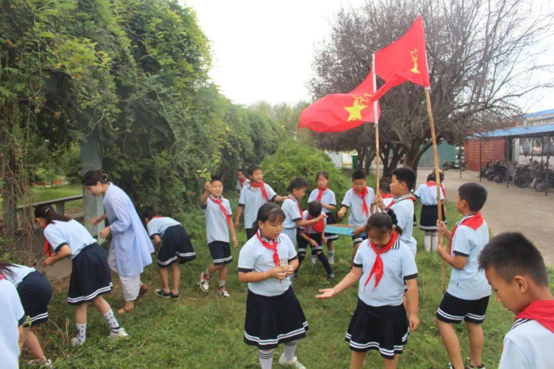 泗县中小学社会实践简讯 21年11月26日 活动 落叶 柏付永