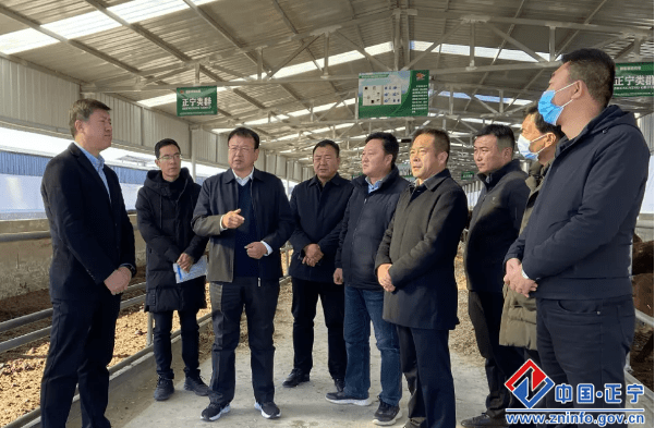 刘海宁督查正宁县农业产业发展情况