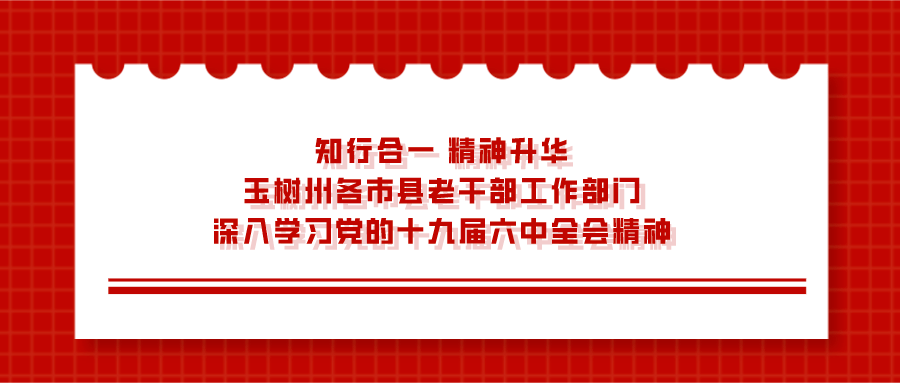 为深入学习宣传贯彻党的十九届六中全会的精神,玉树州各市县老干部