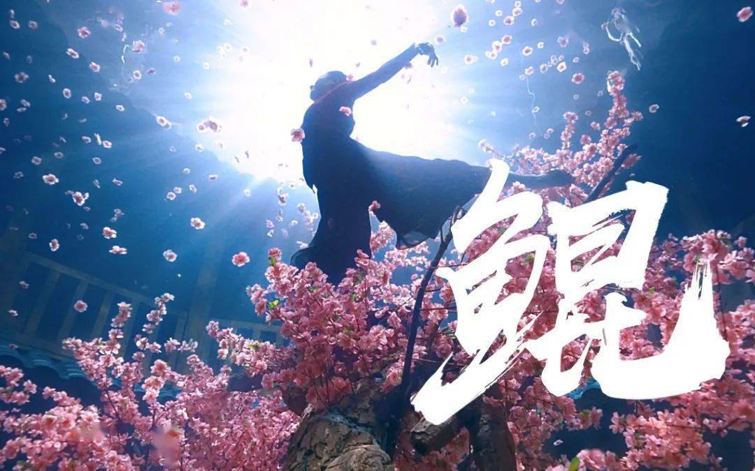 艳压热搜的国风女神,2分钟吸粉4亿,网友:果然还是他敢拍_郭吉勇_潜水