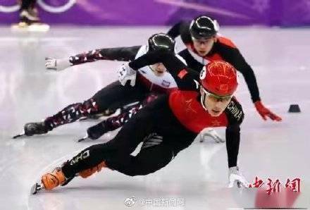 项目|任子威连续四站世界杯夺金