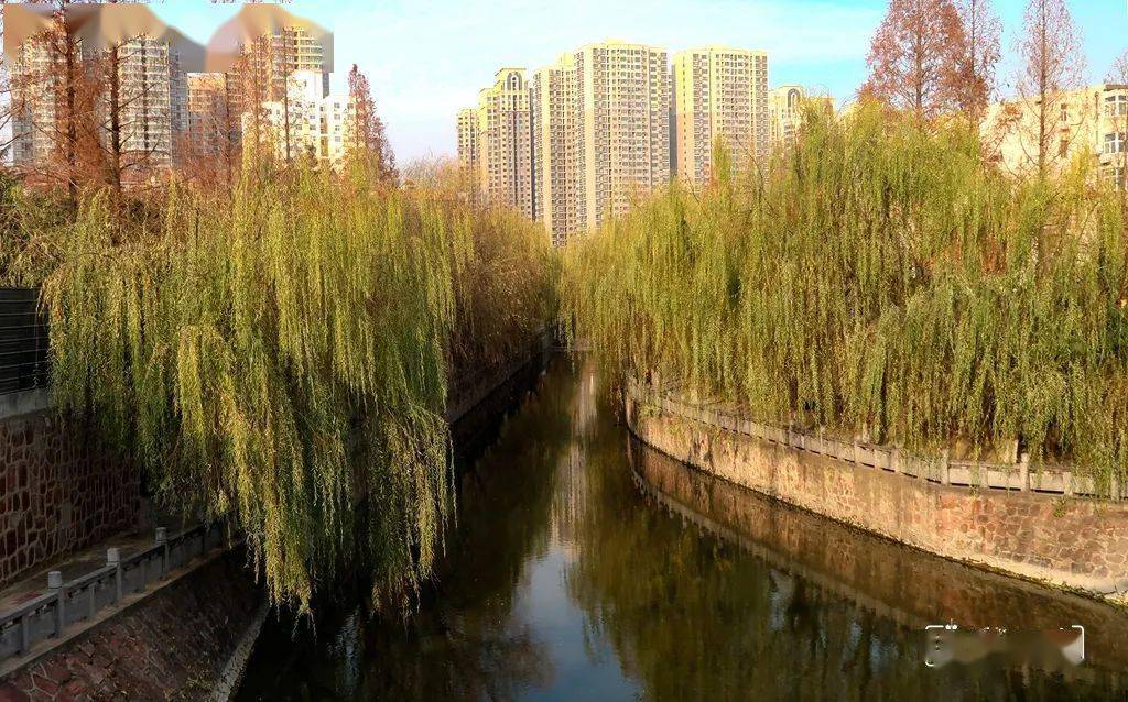 系统科学治理提升行洪能力郑州启动金水河综合整治