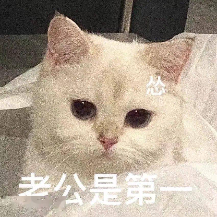 可爱聊天表情包