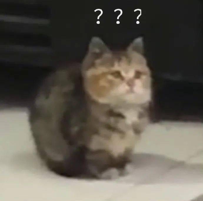 fb84076a991e4e898f7d078b33dd2ff5.jpeg