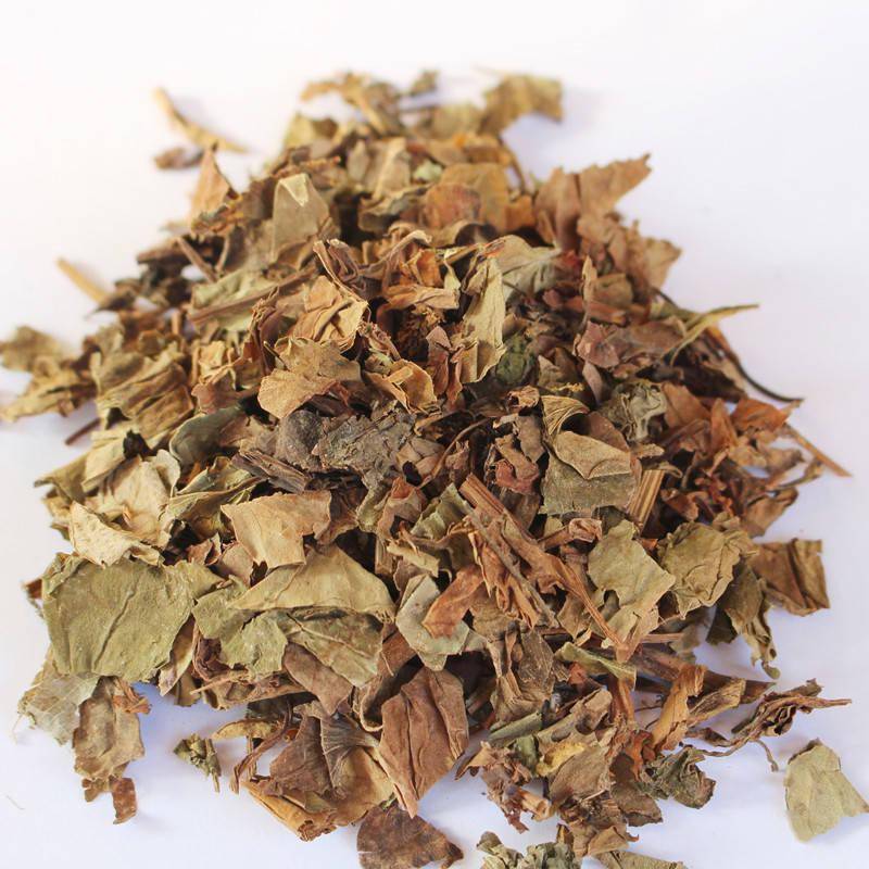 每日中药败酱草