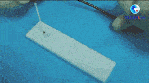 杜洋|全球连线 | 青少年如何对“艾”说不