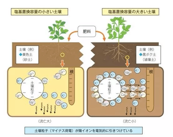 土壤的团粒结构图图片