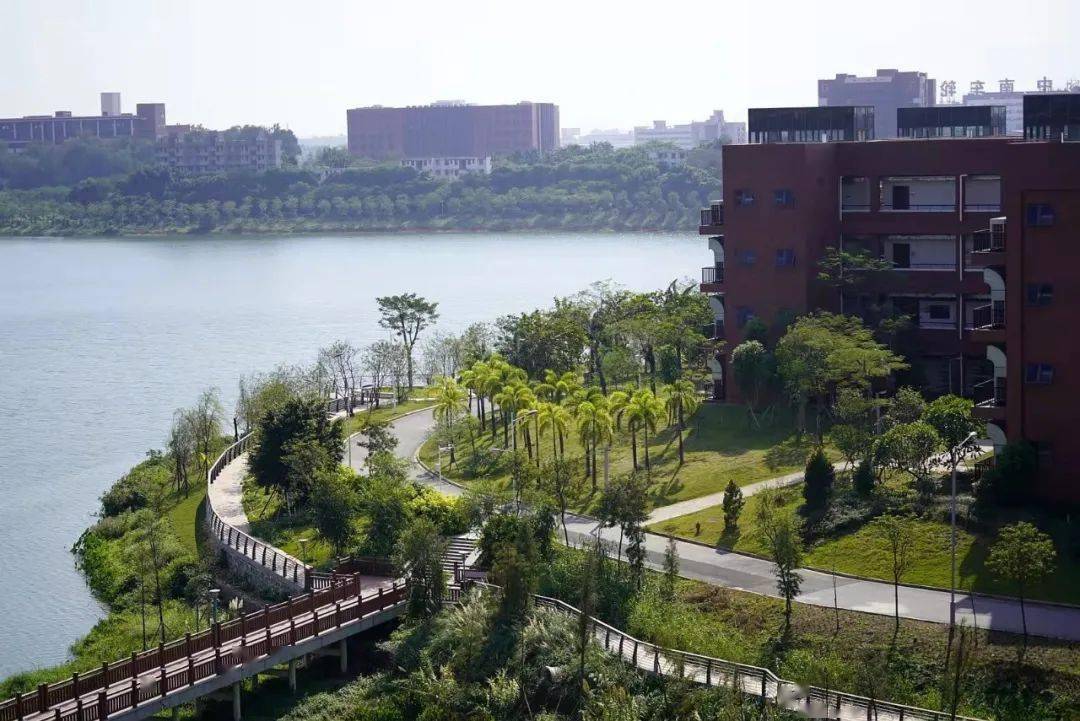 佛山禅城大学图片