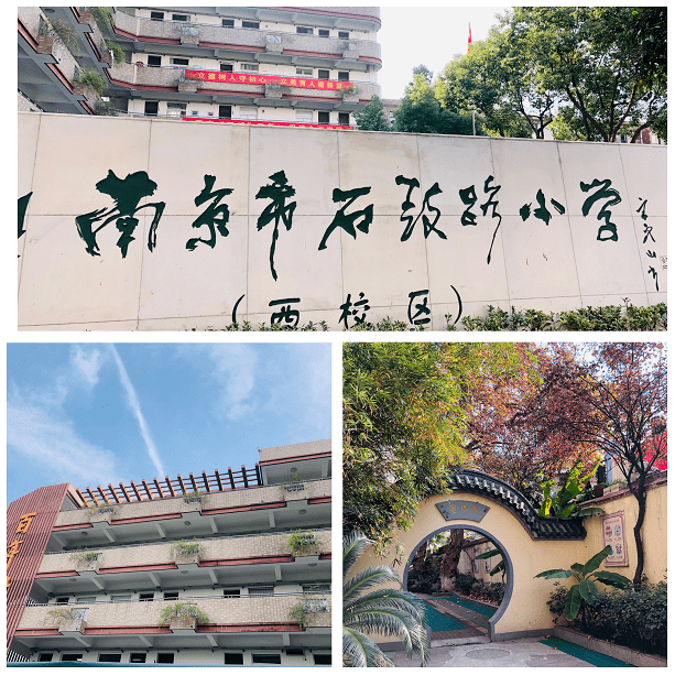 "——南京石鼓路小学小记者们持证上岗啦_实践_记者部_的发展