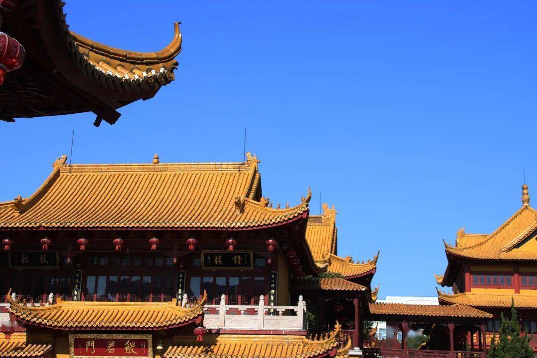 二严寺万佛阁银杏黄啦古刹银杏来领取奉贤这个季节最禅意的浪漫