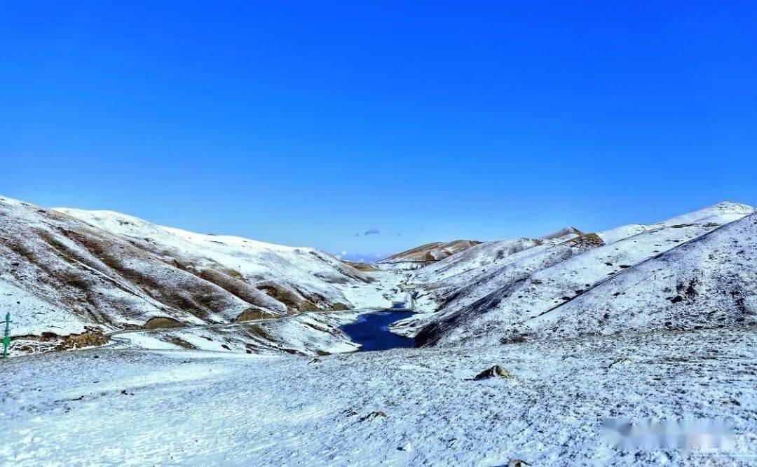 【组图】雪后初晴的会泽大海草山,期待与你相约