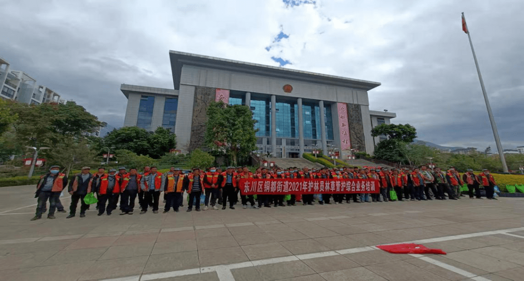 铜都街道开展护林员培训