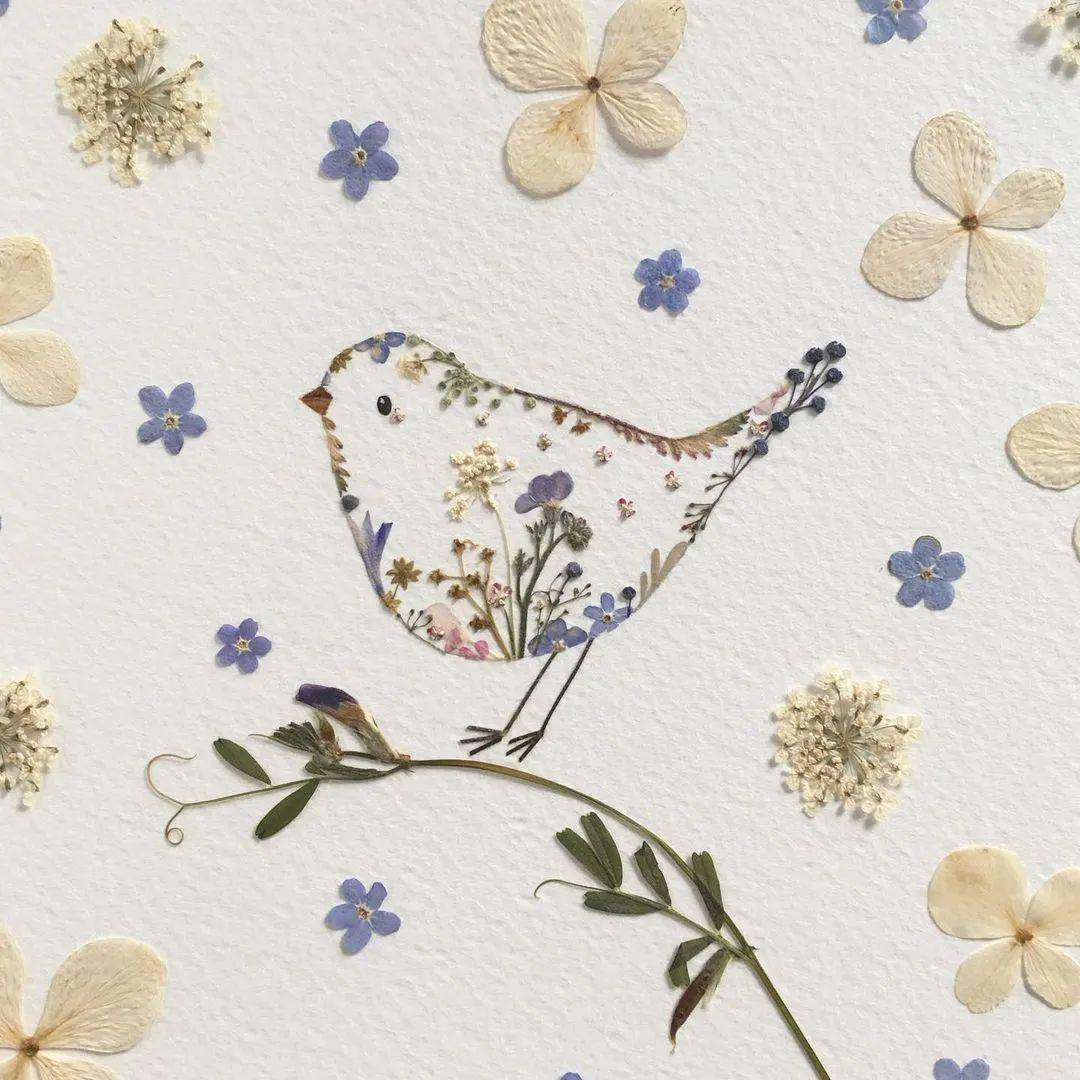 唯美到极致英国美女艺术家用花草树叶压花制作插画每一幅都好治愈