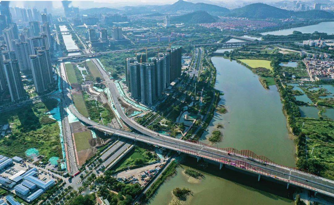 沿着大良这些路走,发现一路惊喜!