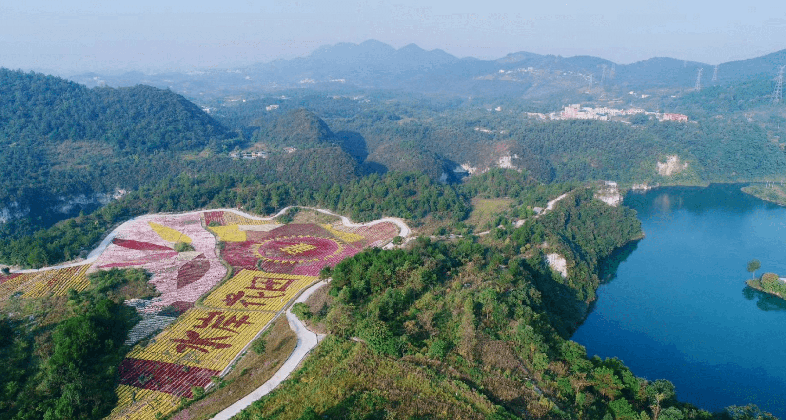 2021年11月23日,金州电力集团举行"青年党员的第一次政治生日"主题